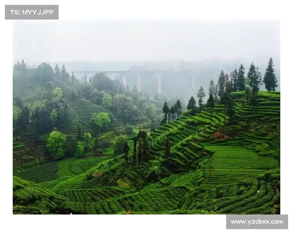 穿越时空的绿意之旅:探索七个令人惊叹的自然奇境与遗世秘境 穿越时空的绿意之旅:探索七个令人惊叹的自然奇境与遗世秘境