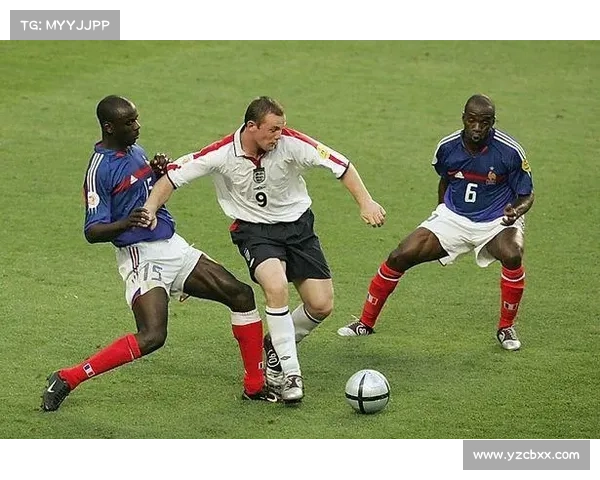 如何深入了解莫塔夺冠杯的历史与发展轨迹